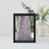 Briefkaart van gitaarspelerbomen - Spanje (Staand voorkant)