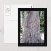 Briefkaart van gitaarspelerbomen - Spanje (Voorkant / Achterkant)