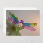 Briefkaart van glas Dragonfly (Voorkant / Achterkant)