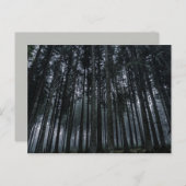 briefkaart van gothische bossen (Voorkant / Achterkant)