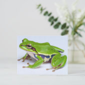 Briefkaart van groene boomkikker (Staand voorkant)