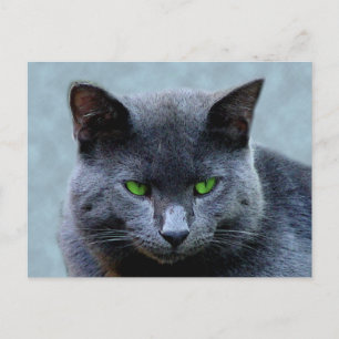 Briefkaart van groene geoogste katten