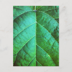 Briefkaart van groene ledertextuur