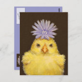 briefkaart van grumpy kip (peep) (Voorkant / Achterkant)