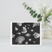 Briefkaart van Hamptons "Seashells" (Staand voorkant)