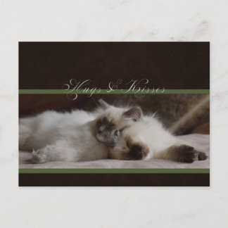 Briefkaart van hanen en kussens