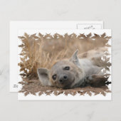 Briefkaart van het Afbeelding Hyena (Voorkant / Achterkant)