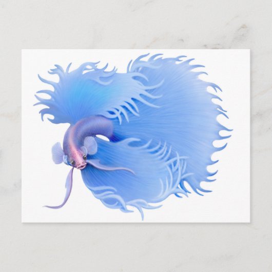 Briefkaart van het afflaring Betta Splendens (Voorkant)