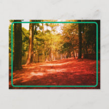 Briefkaart van het bos