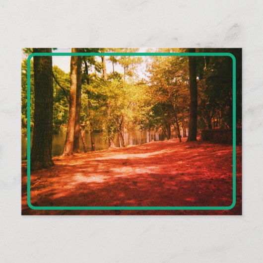 Briefkaart van het bos (Voorkant)