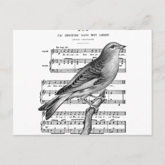  Briefkaart van het Franse Bird Song Music