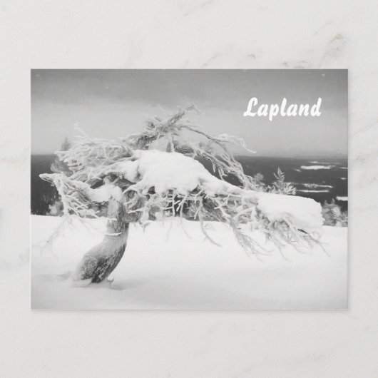 Briefkaart van het landschap Lapland souvenir (Voorkant)