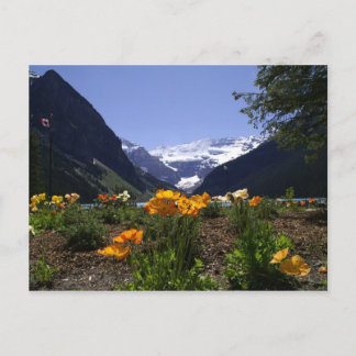 Briefkaart van het Louise-meer