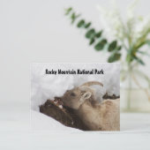 Briefkaart van het nationale park Rocky Mountain (Staand voorkant)