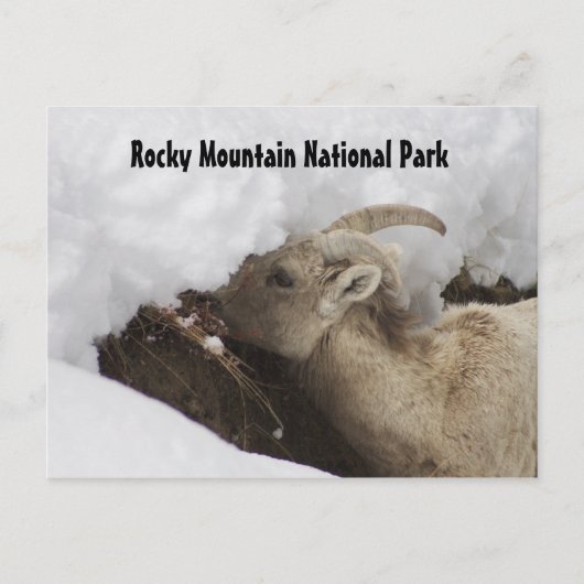Briefkaart van het nationale park Rocky Mountain (Voorkant)