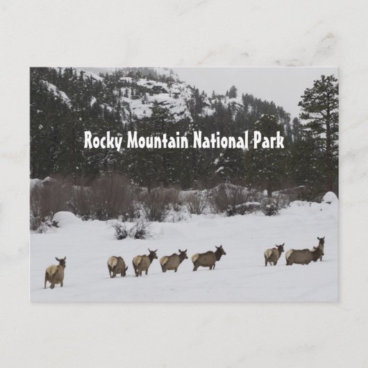 Briefkaart van het nationale park Rocky Mountain (Voorkant)