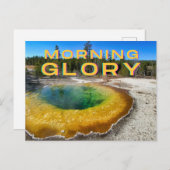 Briefkaart van het nationale park van Yellowstone (Voorkant / Achterkant)