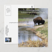 Briefkaart van het nationale park van Yellowstone (Voorkant / Achterkant)