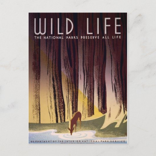 BRIEFKAART van het nationale Poster van de parken (Voorkant)