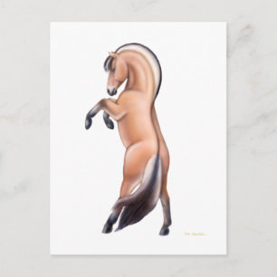 Briefkaart van het Noorse Fjord-paard
