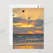 Briefkaart van het prachtige Morning Beach Sunrise (Voorkant / Achterkant)