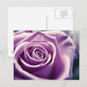 Briefkaart van het Roos van pasta's (gedempt lila) (Voorkant / Achterkant)