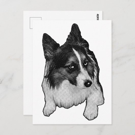 Briefkaart van het sneeuwpad (Voorkant / Achterkant)