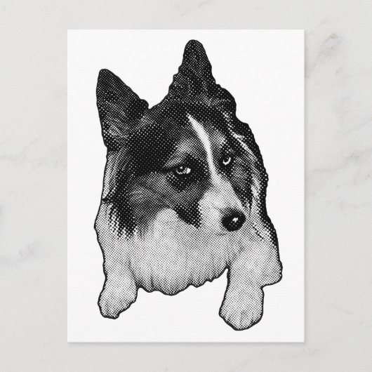 Briefkaart van het sneeuwpad (Voorkant)