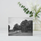 Briefkaart van het Zwarte en Witte Woud (Staand voorkant)