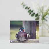 Briefkaart van hout Duck (Staand voorkant)