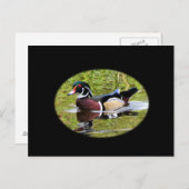 Briefkaart van hout Duck (Voorkant / Achterkant)