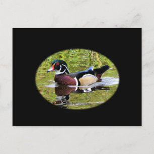 Briefkaart van hout Duck