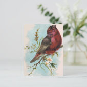 briefkaart van huisvinken (Staand voorkant)