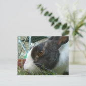 Briefkaart van Humbug (Staand voorkant)