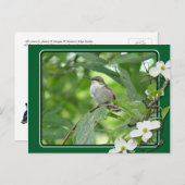 Briefkaart van kalkoenen (Voorkant / Achterkant)