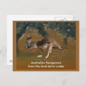 Briefkaart van Kangaroo (Voorkant / Achterkant)