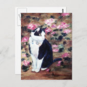 Briefkaart van kat uit Kaboodles (Voorkant / Achterkant)