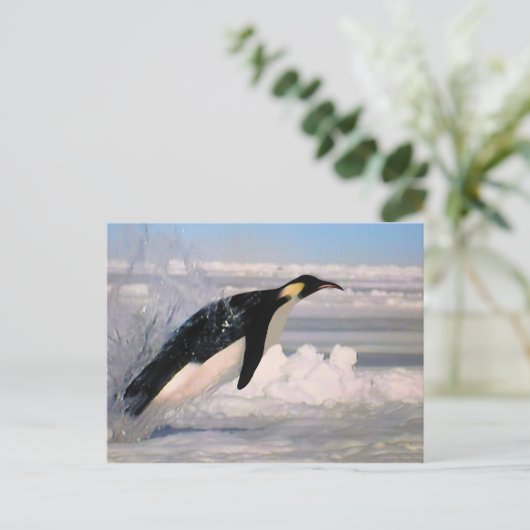 Briefkaart van keizersarctische en antarctische pi (Staand voorkant)