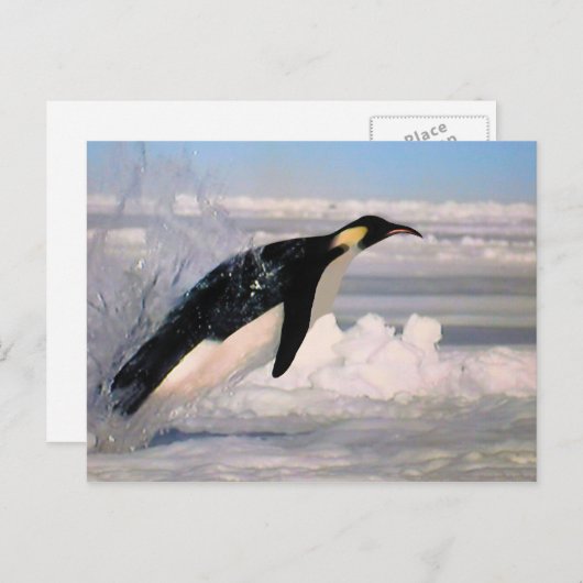 Briefkaart van keizersarctische en antarctische pi (Voorkant / Achterkant)