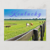 Briefkaart van Kentucky. Paarden op het boerderij. (Voorkant)