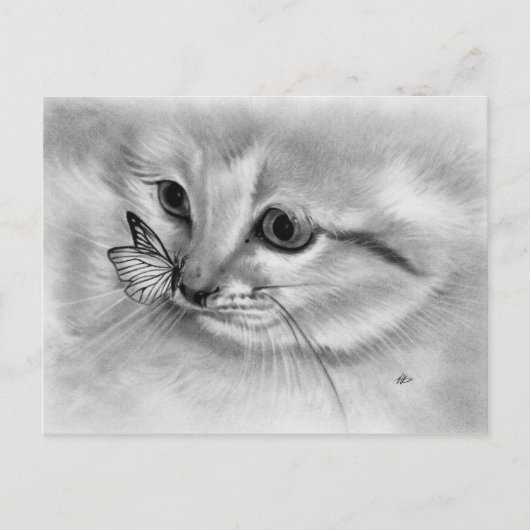 Briefkaart van Kitten Butterfly (Voorkant)