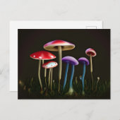 Briefkaart van kleurrijke paddenstoelen (Voorkant / Achterkant)