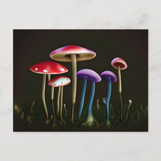 Briefkaart van kleurrijke paddenstoelen (Voorkant)