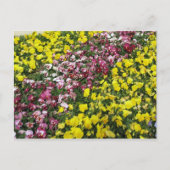 Briefkaart van kleurrijke tuin (Voorkant)