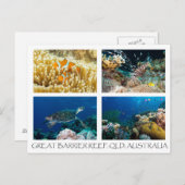 Briefkaart van koraal Zee (Voorkant / Achterkant)