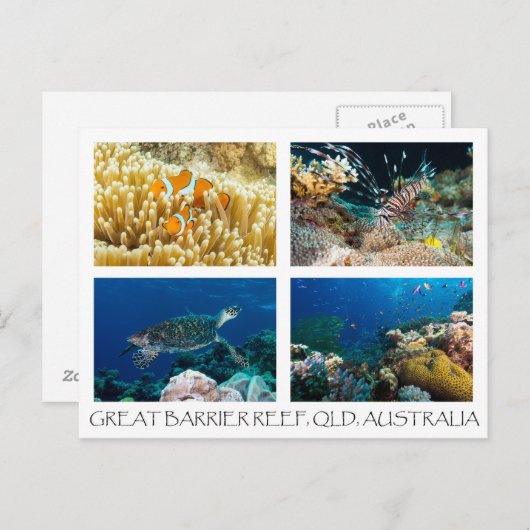 Briefkaart van koraal Zee (Voorkant / Achterkant)