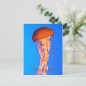 Briefkaart van kwallen (Staand voorkant)