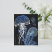 Briefkaart van kwallen (Staand voorkant)