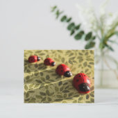 Briefkaart van Ladybugs (Staand voorkant)
