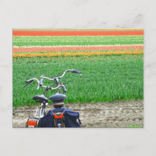 Briefkaart van lentetelers